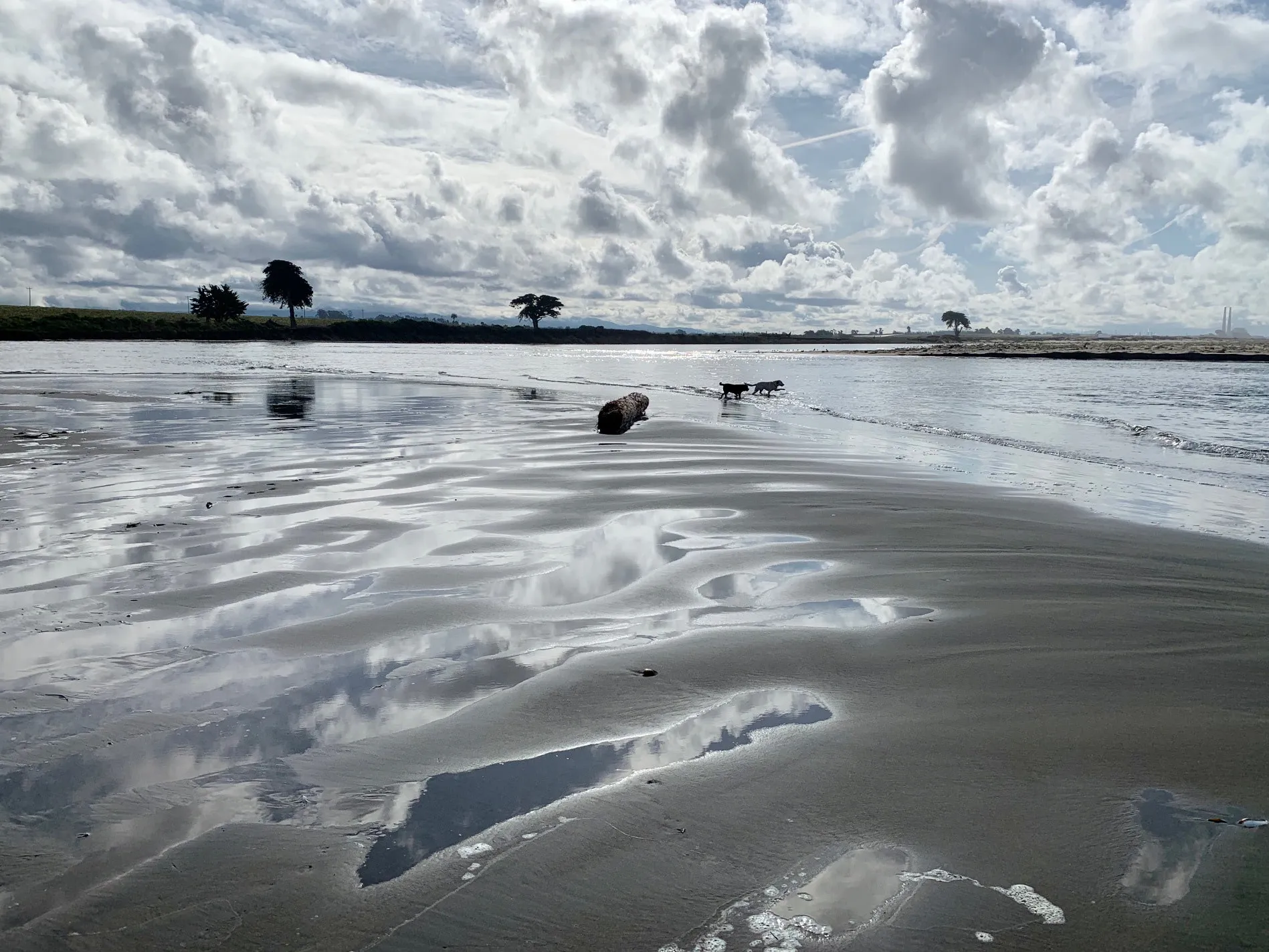 Clouds reflected in the wet sand at low tide
