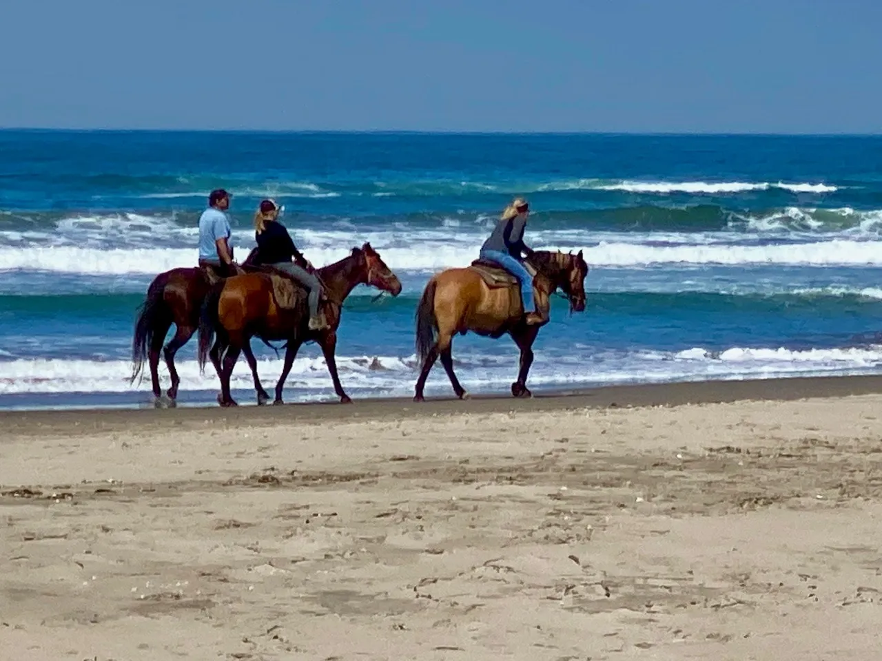 Riders on horseback along the surf