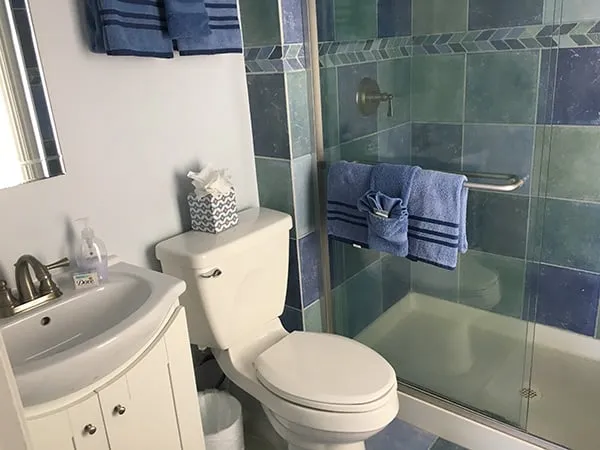 The master bath's step-in shower, toilet and sink